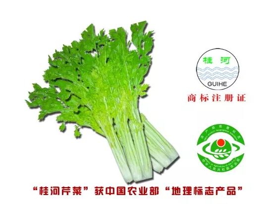 桂河芹菜：寿光桂河岸边特产，国家地理标志产品-桂河芹菜,产地宝