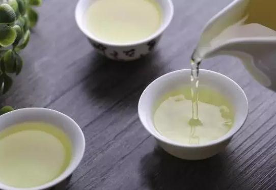 诏安苦丁茶:诏安梅岭寮雅村特产,国家地理标志产品-诏安苦丁茶及传说,产地宝