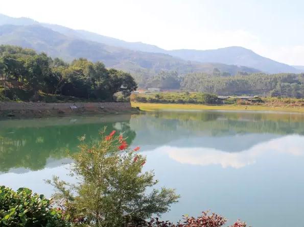 平和青花瓷：平和南胜官寮特产，国家地理标志产品-平和青花瓷,产地宝