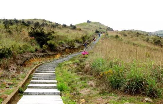 大芹山-名峰山庄：福建漳州平和产地宝-大芹山-名峰山庄,产地宝