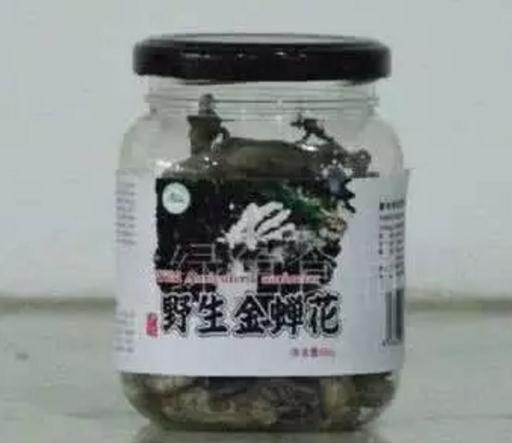 程溪金蝉：龙海特产国家地理标志产品-漳州名贵中药野生蝉花 程溪金蝉,产地宝