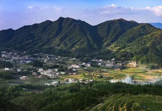 华安铁观音：漳州华安特产，国家地理标志产品-乌龙茶华安铁观音,产地宝