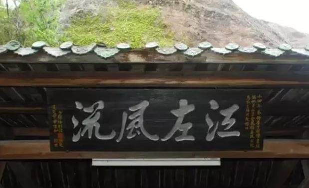 龙岩连城产地宝：连城冠豸山铁皮石斛，龙岩连城特产-冠豸山铁皮石斛,产地宝