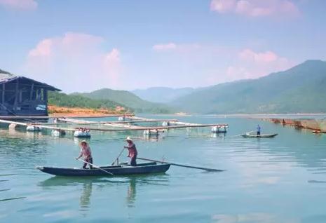 清流九龙湖鱼干：三明清流特产-全省唯一无腥味鱼干 清流九龙湖鱼干,产地宝