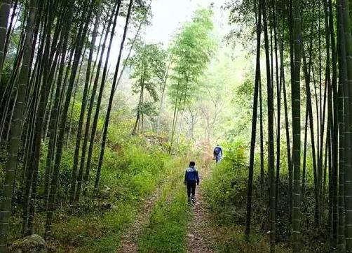 将乐西山纸：三明将乐龙栖山特产，国家地理标志产品-手工 将乐西山纸,产地宝