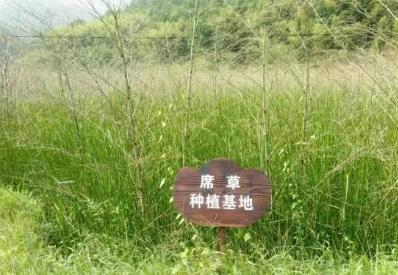 永安贡川草席：三明永安贡川镇特产,国家地理标志产品名录-贡川草席,产地宝