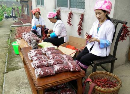 龙脊辣椒:桂林市龙胜县龙脊镇马海村特产,国家地理标志产品-龙脊辣椒,产地宝