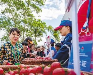 陵水圣女果：海南省陵水黎族自治县特产，国家地理标志产品-圣女果,产地宝