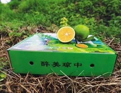 琼中绿橙：海南省琼中县特产，国家地理标志产品-琼中绿橙,产地宝