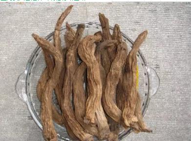 道真玄参：遵义市道真县特产，国家地理标志产品-药材 道真玄参,产地宝