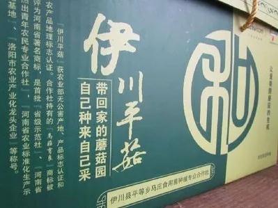 伊川平菇:洛阳市伊川县特产,国家地理标志产品-伊川平菇,产地宝