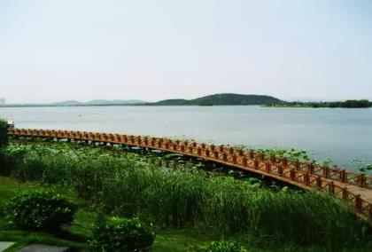 武汉景秀大地百果采摘园:蔡甸区玉贤镇特产-百果采摘园圣女果、李子,产地宝