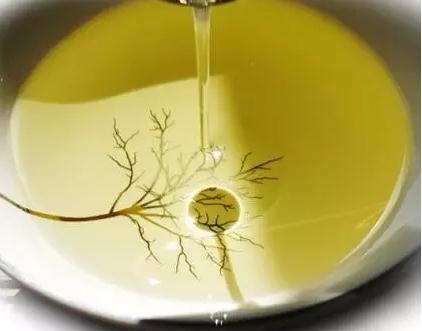 鼎城茶油:常德市鼎城区特产,国家地理标志产品-鼎城茶油,产地宝