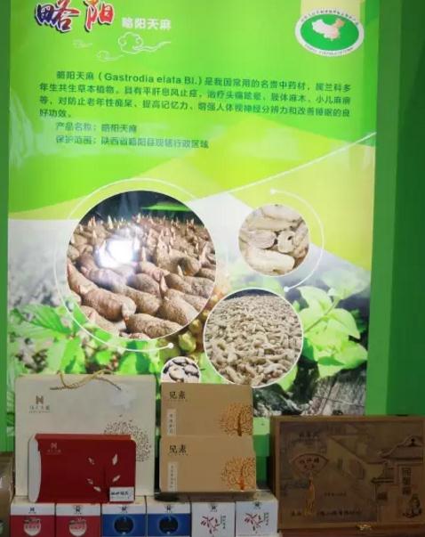 略阳天麻:汉中市略阳县特产,国家地理标志产品-汉中略阳天麻,产地宝