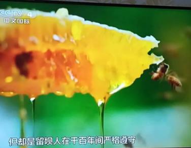 留坝蜂蜜:汉中市留坝县特产,国家地理标志产品-留坝蜂蜜,产地宝