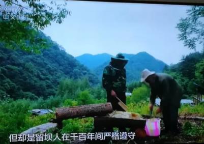 留坝蜂蜜:汉中市留坝县特产,国家地理标志产品-留坝蜂蜜,产地宝