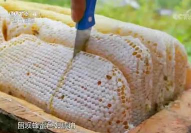留坝蜂蜜:汉中市留坝县特产,国家地理标志产品-留坝蜂蜜,产地宝