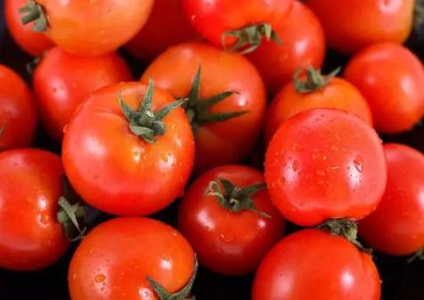 金塔番茄:酒泉市金塔县特产,国家地理标志产品-金塔西红柿番茄,产地宝
