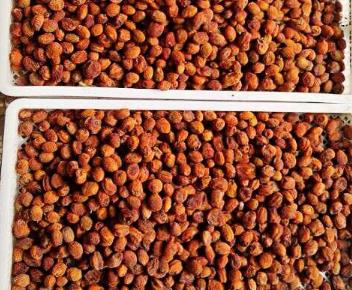 英吉沙色买提杏干:喀什地区英吉沙县特产,国家地理标志产品-色买提杏,产地宝