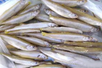 呼伦湖小白鱼:呼伦贝尔市特产,国家地理标志产品-呼伦湖小白鱼,产地宝