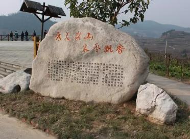 崭山米枣:绵阳市三台县永新镇特产,国家地理标志产品-崭山米枣,产地宝