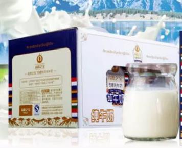 高原之宝西藏牦牛奶:西藏拉萨市特产-高原之宝青稞牦牛奶及营养价值,产地宝