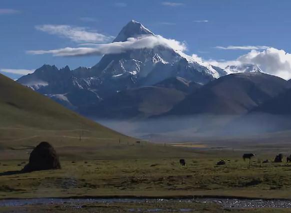 亚东牦牛:西藏自治区喀则市亚东县特产-牦牛 央视产销对接活动,产地宝