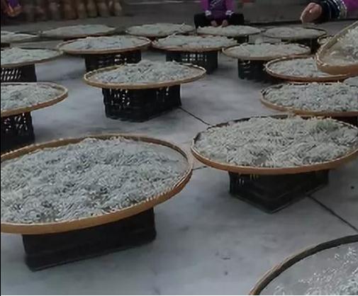 永顺莓茶:湖南湘西州永顺县特产-莓茶 央视产销对接活动推荐特产,产地宝