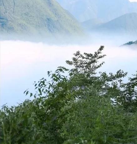 七跃山蜂蜜：重庆市彭水县丰都特产，国家地理标志产品-七跃山蜂蜜,产地宝