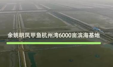 余姚甲鱼:宁波余姚市特产，国家地理标志产品-余姚甲鱼,产地宝