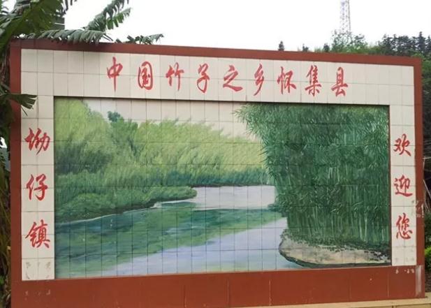 怀集茶秆竹:肇庆市怀集县坳仔镇特产,国家地理标志产品-茶秆竹,产地宝