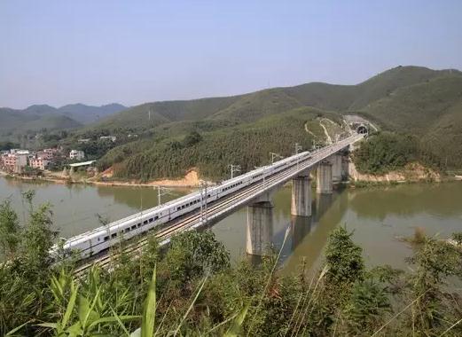 怀集茶秆竹:肇庆市怀集县坳仔镇特产,国家地理标志产品-茶秆竹,产地宝