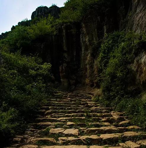 大方海马宫茶叶:毕节大方县海马宫村特产-大方产地宝海马宫茶叶,产地宝