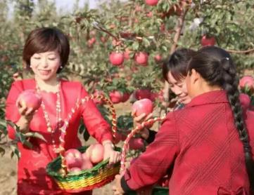 康平寒富苹果:沈阳康平县特产-产地宝,国家地理标志产品-寒富苹果,产地宝