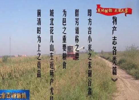 博洛铺小米:营口大石桥市特产,国家地理标志产品-产地宝 博洛铺小米,产地宝