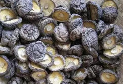 新宾香菇:抚顺市新宾县特产香菇,国家地理标志产品-新宾产地宝香菇,产地宝