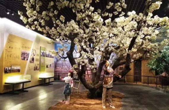 魏县鸭梨:邯郸魏县特产鸭梨,国家地理标志产品,魏县产地宝-鸭梨,产地宝