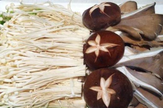 灵寿金针菇:石家庄灵寿特产金针菇,国家地理标志产品,产地宝-金针菇,产地宝