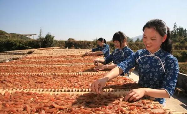 兴国倒蒸红薯干:赣州兴国特产薯干,地理标志产品,产地宝-倒蒸红薯干,产地宝