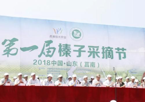 第一届中国山东（莒南）榛子采摘节在临沂真源榛子田园综合体举办,产地宝
