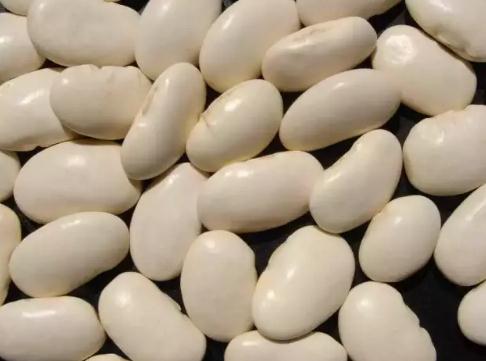 玉山白玉豆:上饶玉山特产白玉豆,玉山产地宝,名优农产品-玉山豆,产地宝
