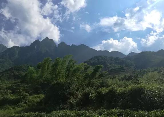 铅山河红茶:上饶铅山特产红茶,国家地理标志产品,铅山产地宝-河红茶,产地宝