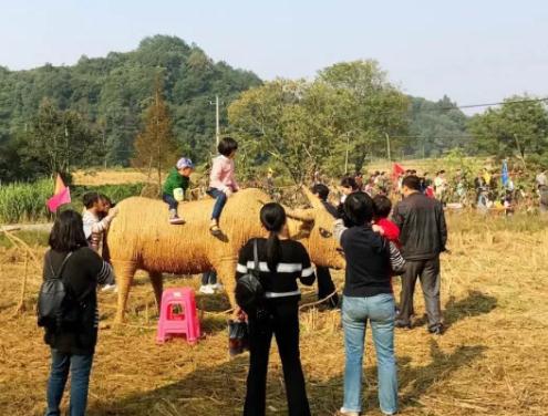 万年贡米:上饶万年特产大米,国家地理标志产品,万年产地宝-贡米,产地宝