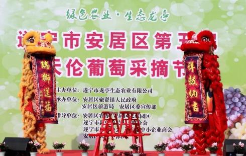 遂宁市安居区第五届天伦葡萄采摘节在聚贤镇天伦葡萄园举办,产地宝