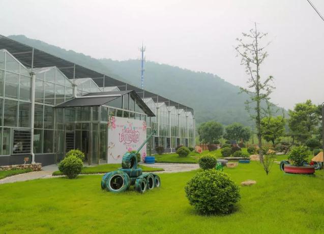 御皇李子节:北京密云东邵渠镇第八届御皇李子节在李子文化广场开幕,产地宝