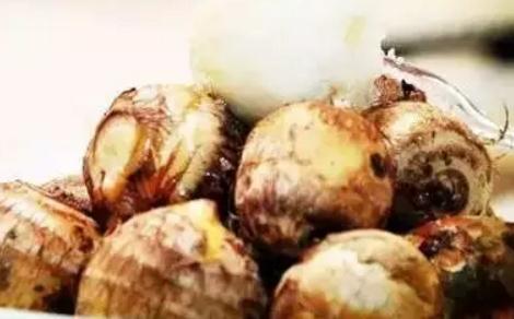 吉安登龙粉芋:吉安特产芋头,国家地理标志产品,吉安县产地宝登龙粉芋,产地宝