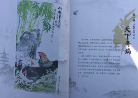 崇仁麻鸡:抚州崇仁特产麻鸡,国家地理标志产品,崇仁县产地宝-麻鸡,产地宝