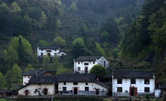 石台富硒茶:阜阳石台特产富硒茶,国家地理标志产品,石台县产地宝-富硒茶,产地宝