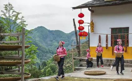 紫阳富硒茶:安康紫阳特产富硒茶,国家地理标志产品,产地宝-紫阳富硒茶,产地宝