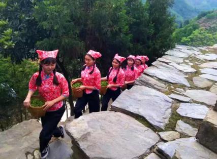 紫阳富硒茶:安康紫阳特产富硒茶,国家地理标志产品,产地宝-紫阳富硒茶,产地宝